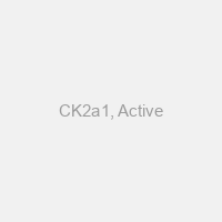 CK2a1, Active